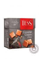 Чай TESS "Caramel Charm" (карамель) черный 20 пир